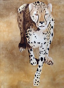 Ruth Tatter: Cheetah